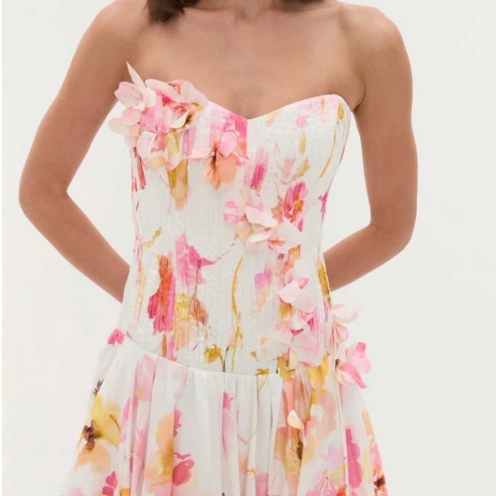 Aje Strapless Floral Maxi Dress in Pink and White